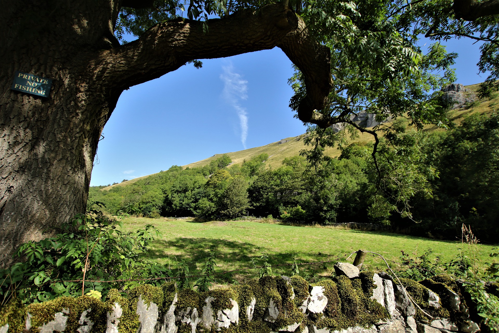landscape-4431827_1920